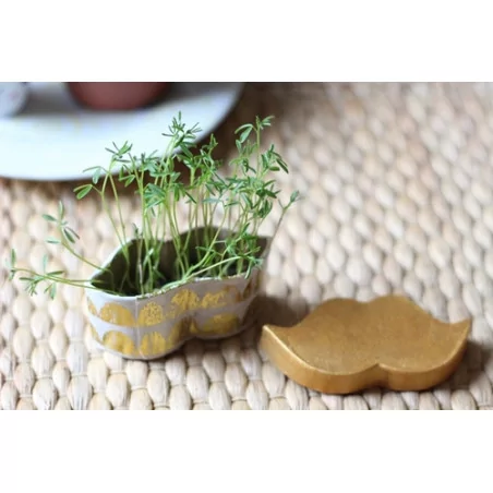 IDEES CREATIVES : Tuto : Réaliser une boîte à pousse, par Mymy Cracra