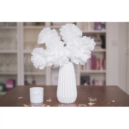IDEES CREATIVES : Vidéo - Réaliser des fleurs en papier, par Dolly Jessy