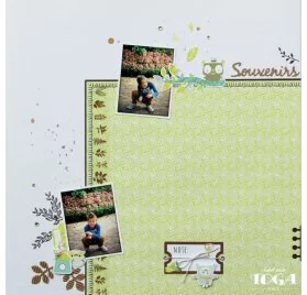 IDEES CREATIVES : Tuto : Réaliser une page de scrap' avec la collection "Hiboux", par Toga