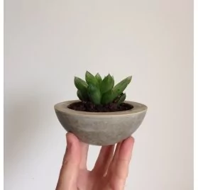 IDEES CREATIVES : Tuto : Réaliser une coupelle en béton, par Caroline