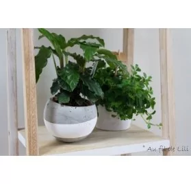 IDEES CREATIVES : Tuto : Réaliser un pot en béton, par Lili