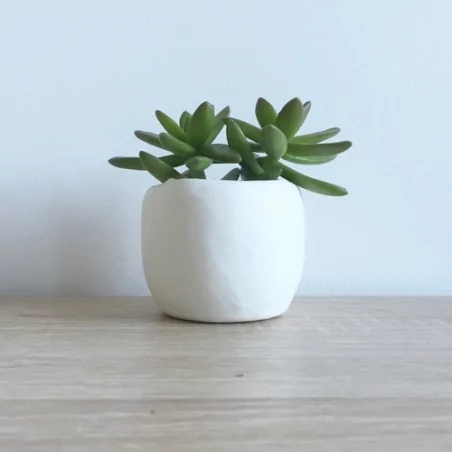 IDEES CREATIVES : Tuto : Réaliser des pots pour succulentes, par Charlov