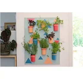 IDEES CREATIVES : Tuto : Réaliser un mur de plantes, Purple Jumble