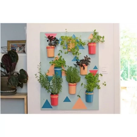IDEES CREATIVES : Tuto : Réaliser un mur de plantes, Purple Jumble
