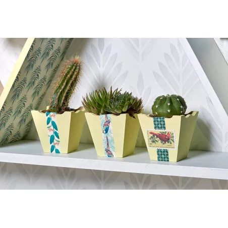 IDEES CREATIVES : Tuto - Urban Jungle - Les petits pots à Cactus
