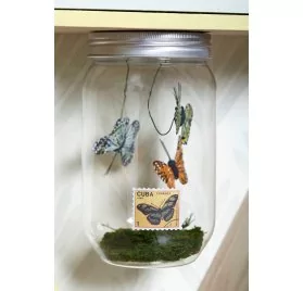 IDEES CREATIVES : Tuto - Urban Jungle - Le bocal aux papillons