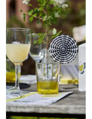 IDEES CREATIVES : Tuto - Barbecue Party - La table - Les assiettes et les verres