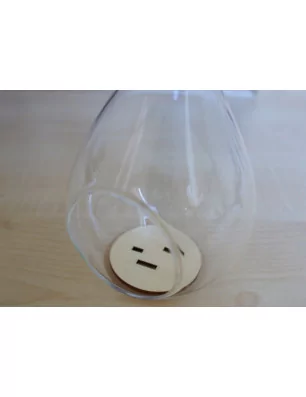 IDEES CREATIVES : Tuto vidéo : Réalisation mini jardin et mise en ambiance dans une scraproom, par Blandine et Sonia