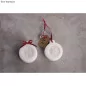 Tampons pour savon 'Rayher' Labels Flocon de neige et Etoile 30 mm