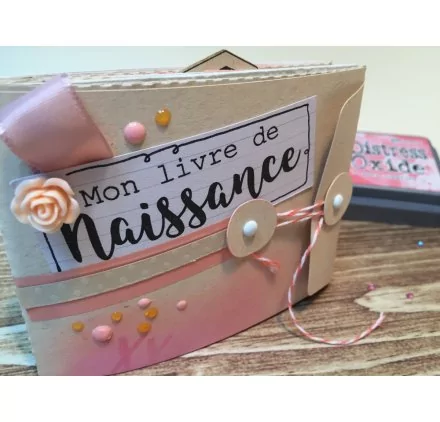 IDEES CREATIVES : Tuto : Réalisez un album livre de naissance de la planche MES P'TITS SOUVENIRS de MISS CREA, par Laetitia B
