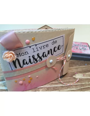 IDEES CREATIVES : Tuto : Réalisez un album livre de naissance de la planche MES P'TITS SOUVENIRS de MISS CREA, par Laetitia B