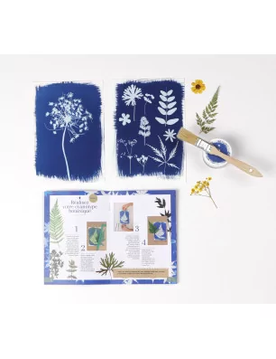 CYANOTYPE : Kit Cyanotype 'Clairefontaine - Invincible été'