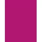 Feuille de flex 30x20 cm 'Chemica - Quickflex Revolution' Raspeberry Feuille de flex 30x20 cm 'Chemica - Quickflex Revolution' Raspeberry