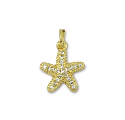 BIJOUX : Lot de 2 Breloques en métal 'La Fourmi Créative' Etoile de mer Doré 11x12mm BIJOUX : Lot de 2 Breloques en métal 'La Fourmi Créative' Etoile de mer Doré 11x12mm