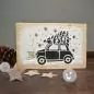 Kit Glace 'Viva Decor'