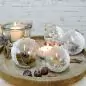 Kit Glace 'Viva Decor'