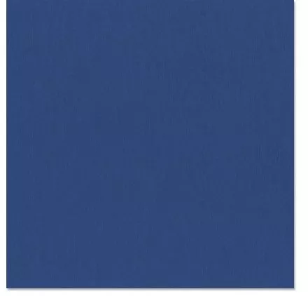 PAPIERS SCRAPBOOKING : Papier uni 30x30 'Bazzill' GreatLakes